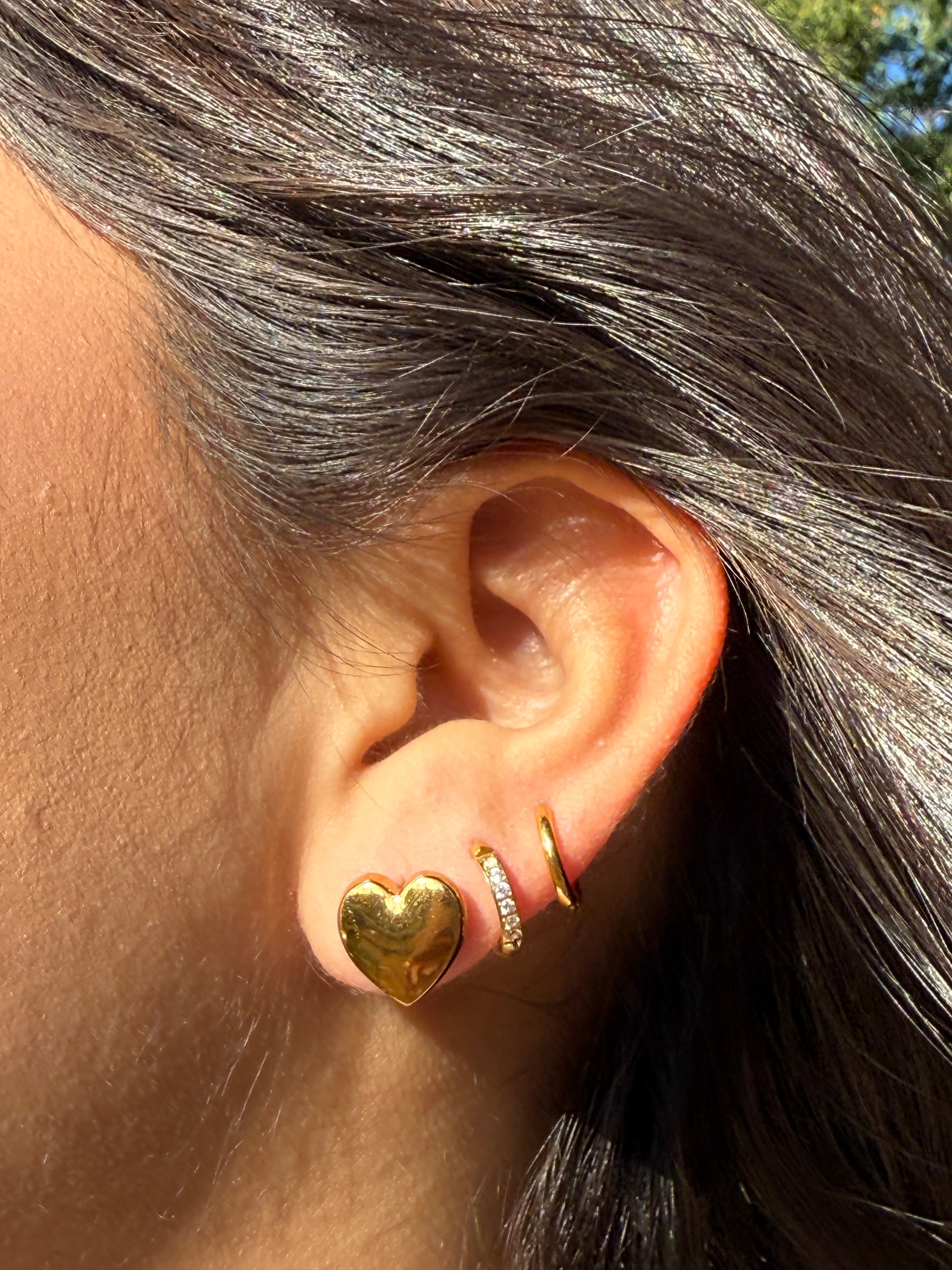 Heart Earrings