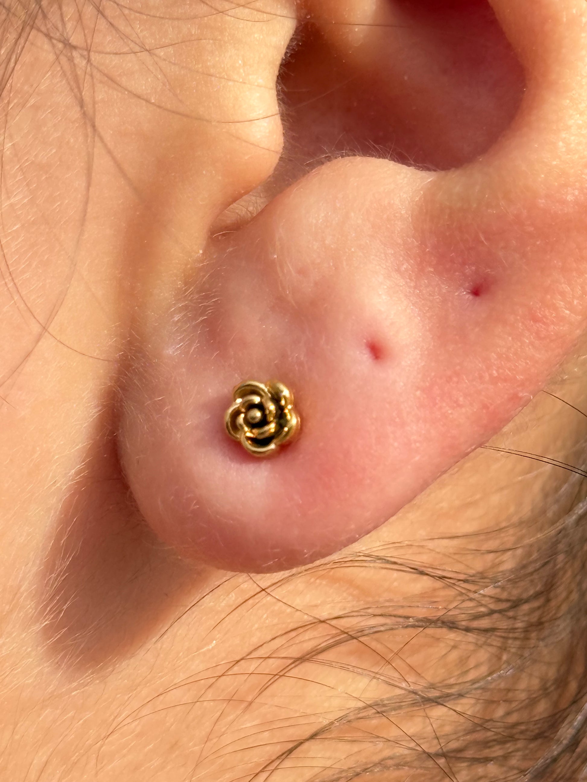 Rose Studs