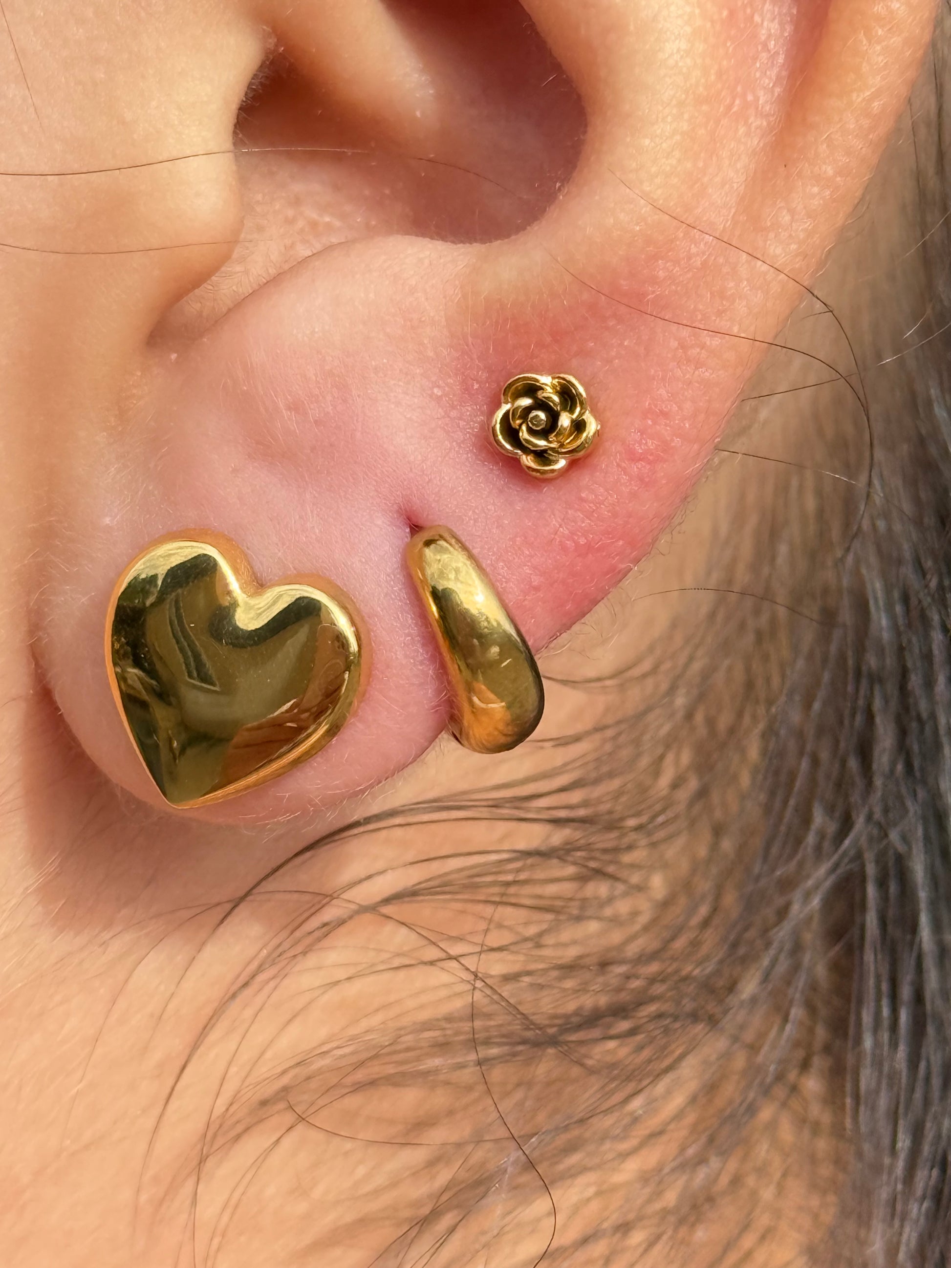 Heart Earrings
